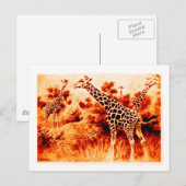 Carte postale de girafe (Devant / Derrière)