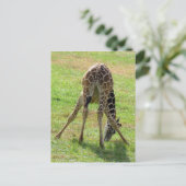 Carte postale de Giraffe Butt (Debout devant)