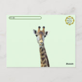 Carte postale de Giraffe Butt (Dos)