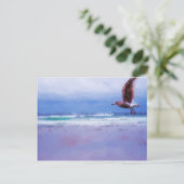 Carte postale de gitane des mers (Debout devant)