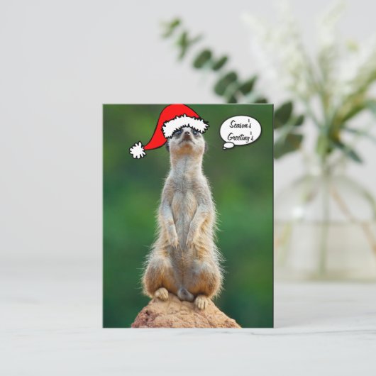 Carte postale de Gopher de chien de prairie de (Debout devant)