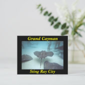 Carte postale de Grand Cayman (Debout devant)