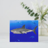Carte postale de grand requin blanc (Debout devant)