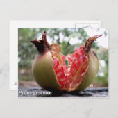 Carte postale de grenade (Devant / Derrière)