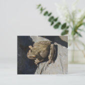 Carte postale de grenouille (Debout devant)