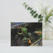 Carte postale de grenouille (Debout devant)