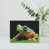 Carte postale de grenouille (Debout devant)