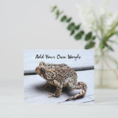 Carte postale de grenouille (Debout devant)