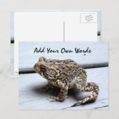 Carte postale de grenouille (Devant / Derrière)