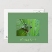 Carte postale de grenouille (Devant / Derrière)