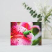 Carte postale de grenouille arborescente (Debout devant)