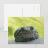 Carte postale de grenouille arborescente (Devant / Derrière)