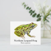 Carte postale de grenouille léopard du Nord (Debout devant)