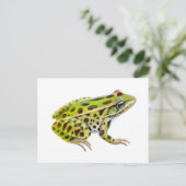 Carte postale de grenouille léopard du Nord (Debout devant)