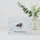 Carte postale de Harle couronné (Debout devant)