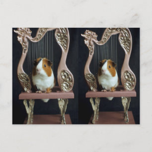 Carte postale de harpe pour cochon d'Inde fantaisi