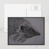 Carte postale de hérisson (Devant / Derrière)