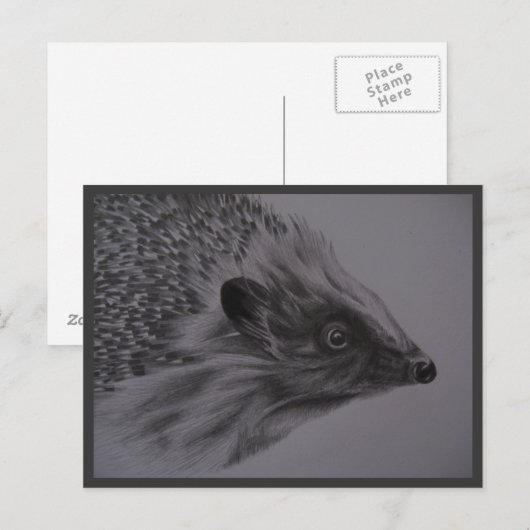 Carte postale de hérisson (Devant / Derrière)