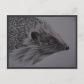 Carte postale de hérisson (Devant)