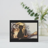 carte postale de hibloween owl et cat (Debout devant)