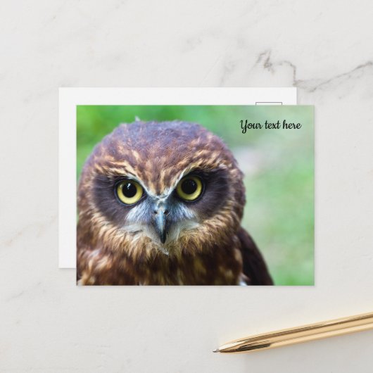 Carte postale de hibou (Devant/Arrière en situation)
