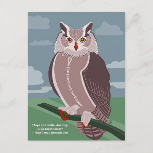 Carte postale de hibou