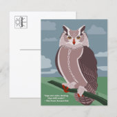 Carte postale de hibou (Devant / Derrière)