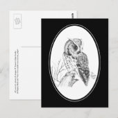 Carte postale de hibou à crayon (Devant / Derrière)
