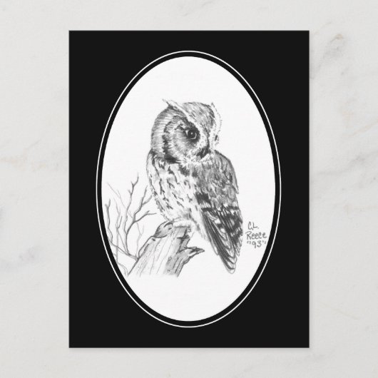 Carte postale de hibou à crayon (Devant)