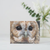 Carte postale de hibou tawny (Debout devant)