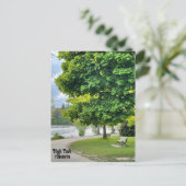 Carte postale de High Park Toronto (Debout devant)