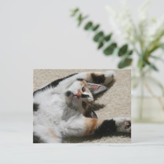 Carte postale de Hope (Debout devant)