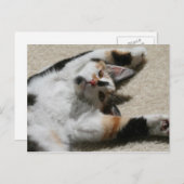 Carte postale de Hope (Devant / Derrière)