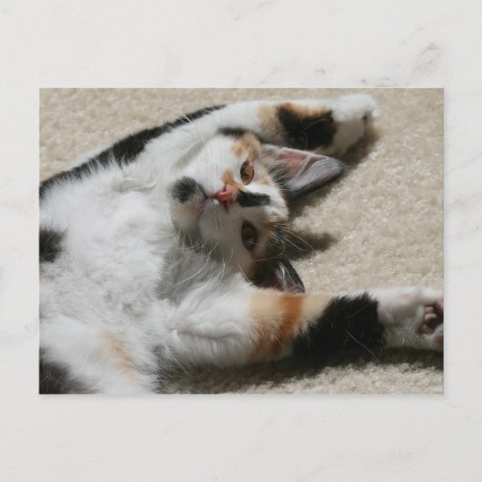 Carte postale de Hope (Devant)