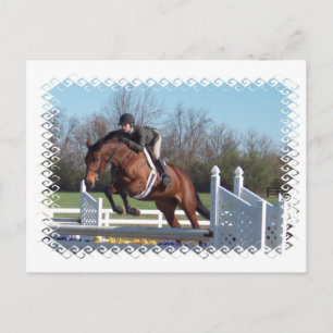 Carte postale de Horses and Show
