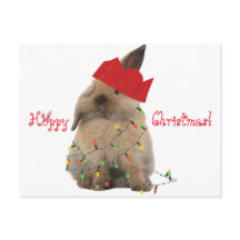 Carte postale de houblon de lapin de Noël
