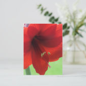 Carte postale de jardin de fleurs d'Amaryllis roug (Debout devant)