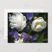 Carte postale de jardin de grands maîtres (Devant / Derrière)