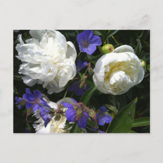 Carte postale de jardin de grands maîtres