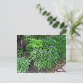 Carte postale de jardin d'hostas avec fleurs viole (Debout devant)