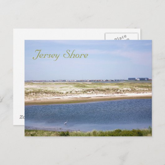 Carte postale de Jersey Shore Point (Devant / Derrière)