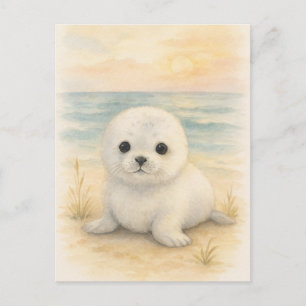 Carte postale de jeunes animaux sauvages bébé phoq