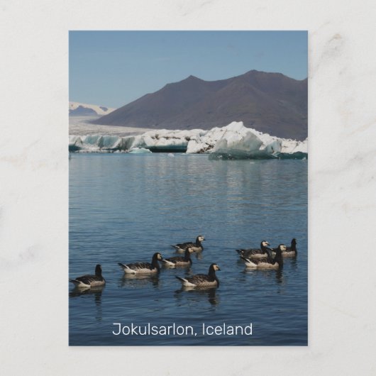 Carte postale de Jokulsarlon Islande (Devant)
