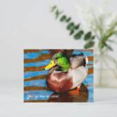 Carte postale de joli canard colvert (Debout devant)