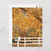 Carte postale de jour d'automne (Devant / Derrière)