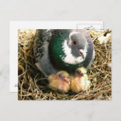 Carte postale de jour de mères (Devant / Derrière)