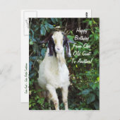 Carte postale de joyeux anniversaire (Devant / Derrière)