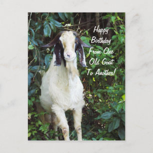 Carte postale de joyeux anniversaire