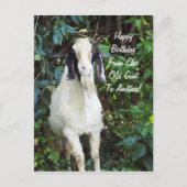 Carte postale de joyeux anniversaire (Devant)