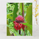 Carte postale de joyeux anniversaire d'Hawaï (Fleur jaune)